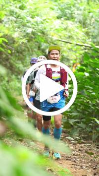 BIB:  <button type="button" onclick="openModal(26823552)" class="btn btn-primary btn-sm float-right" data-toggle="modal" data-target=".modal-high-quality">
                <i class="fa fa-download"></i> Download
                </button>